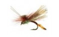 AC Caddis Pheasant Tail