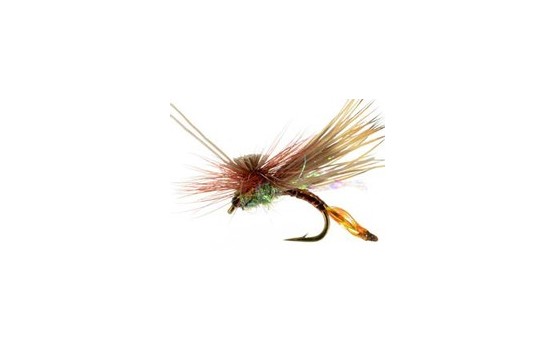 AC Caddis Pheasant Tail