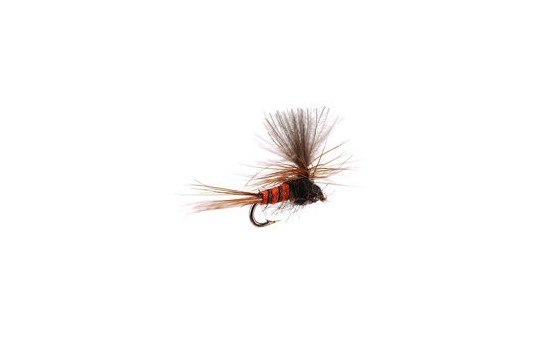 Tiny CDC Parachute Red Brown