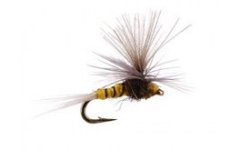 Tiny CDC Parachute Yellow Black