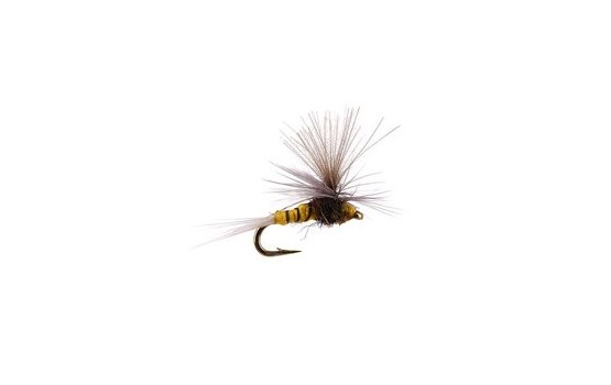 Tiny CDC Parachute Yellow Black