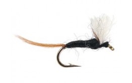 Trico rythodes Male Spinner