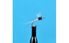 Trico Spinner Female