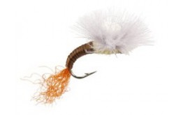 Trinas CDC Budding Emerger PMD