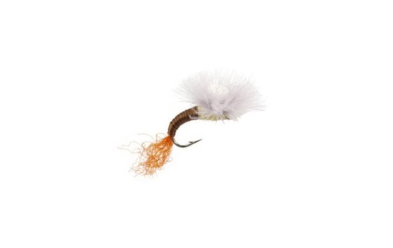 Trinas CDC Budding Emerger PMD
