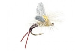 Trinas Etha Wing Emerger PMD