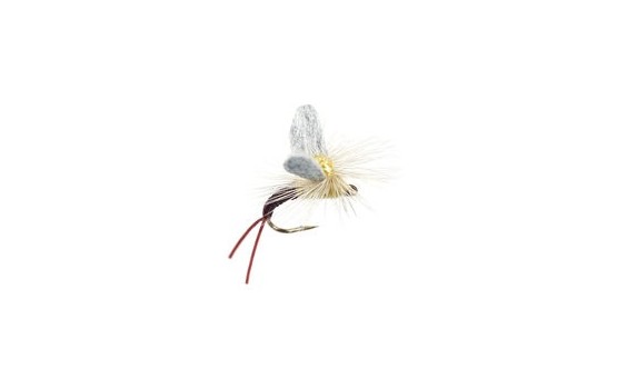 Trinas Etha Wing Emerger PMD
