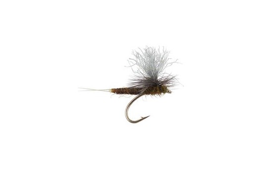 Trinas X Body Parachute BWO