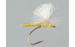 Trinas X Body Parachute PMD