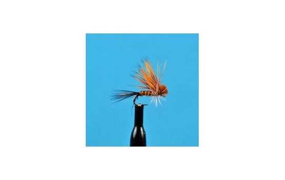 Ugly Duckling Brown Drake