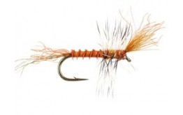 Wikes Sun Burnt Cripple