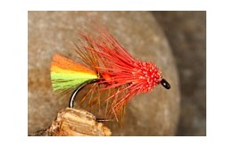 WishartsCoralMuddler