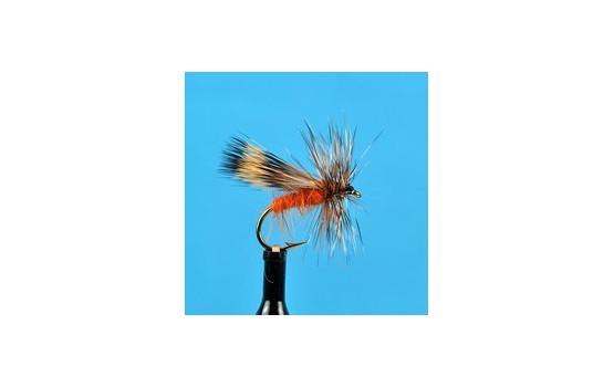 Woodchuck Caddis