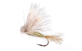 X Caddis Olive