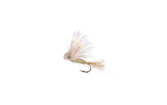 X Caddis Olive