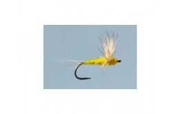 Yellow Sulfur Comparadun