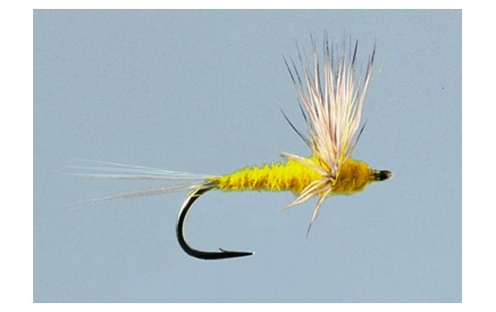 Yellow Sulfur Comparadun