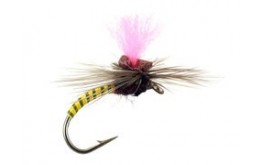 Yellow Synquill Klinkhamer