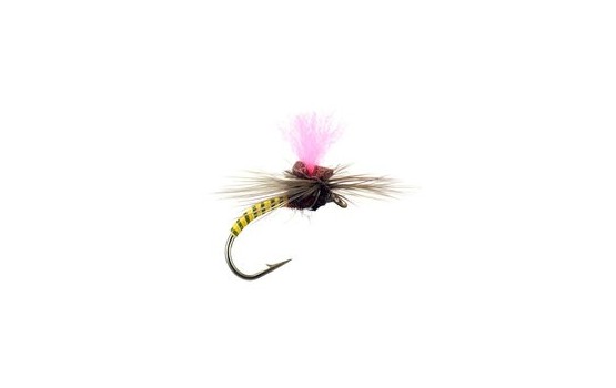 Yellow Synquill Klinkhamer