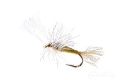 Blue Winged Olive Cripple