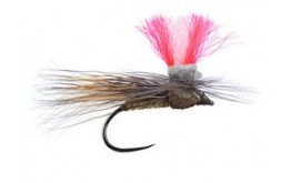 Austrian Natural Sedge BL