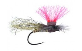 Austrian Repfiber Sedge BL