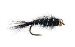 Black Basic BH Nymph BL