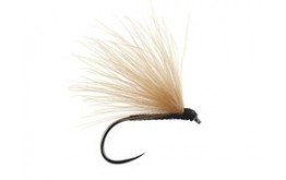 Black Fratnik Simply Good BL