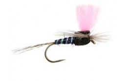 Black High Viz Paradream BL