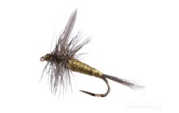 Blue Winged Olive Traditional
