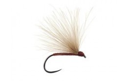 Brown Fratnik Simply Good BL
