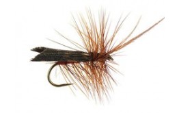 Brown Horned Roof Wing BL