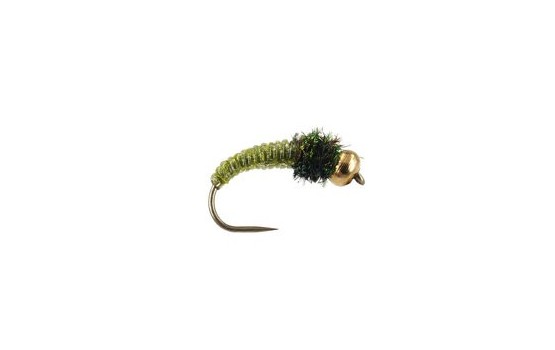 Caddis Larva Olive BL