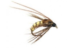 Caddis Pupa Cream BL