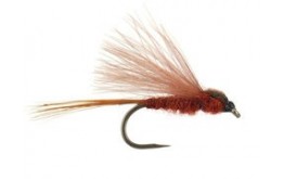 CDC Brown BL