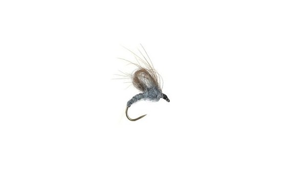 CDC Emerger Grey BL