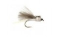 CDC White Dark Winged BL