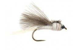 CDC White Dark Winged BL