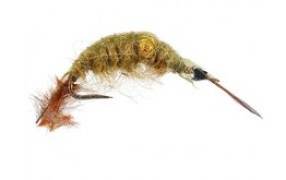 Classic Gammarus Olive Bead BL