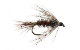 Classic Peacock Nymph BL