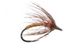 Copper Metallic Soft Hackles Spider BL