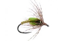 Green Metallic Soft Hackles Pupa BL