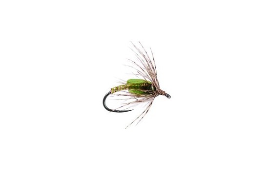 Green Metallic Soft Hackles Pupa BL
