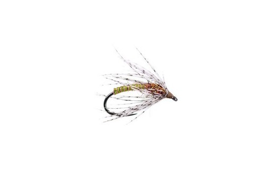 Green Metallic Soft Hackles Spider BL