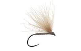 Grey Fratnik Simply Good BL