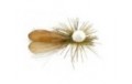 Gs Super Floating Sedge Yellow V BL