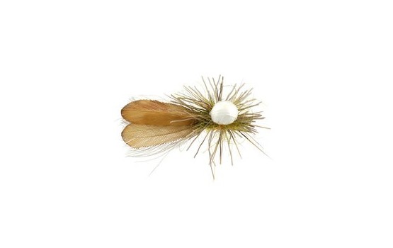 Gs Super Floating Sedge Yellow V BL