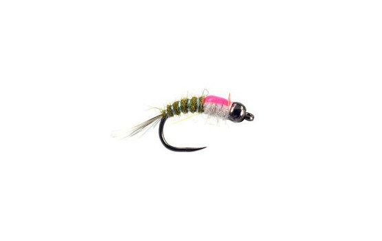 Innov BH Olive Nymph BL White Pearl