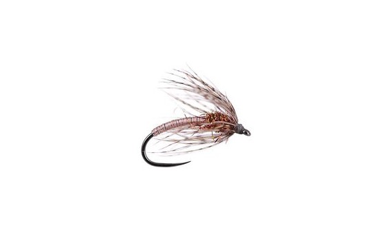 Light Metallic Soft Hackles Spider BL