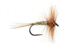 March Brown Classic BL